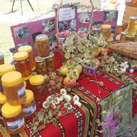 „Плодови Рађевине“, Крупањ